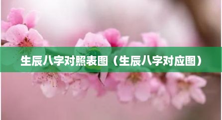 生辰八字对照表图（生辰八字对应图）