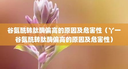 谷氨酰转肽酶偏高的原因及危害性（丫一谷氨酰转肽酶偏高的原因及危害性）