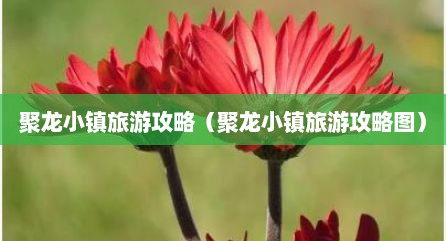 聚龙小镇旅游攻略（聚龙小镇旅游攻略图）