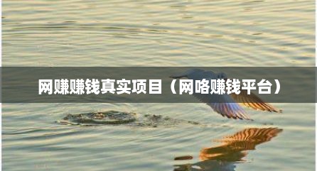 网赚赚钱真实项目（网咯赚钱平台）