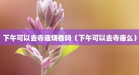下午可以去寺庙烧香吗（下午可以去寺庙么）