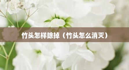 竹头怎样除掉（竹头怎么消灭）