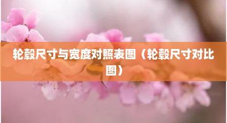 轮毂尺寸与宽度对照表图（轮毂尺寸对比图）