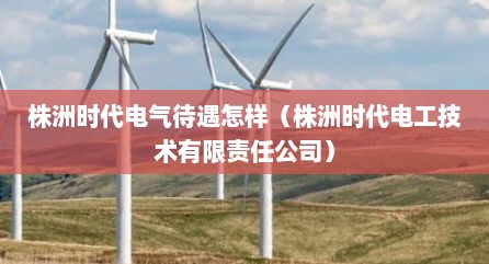 株洲时代电气待遇怎样（株洲时代电工技术有限责任公司）
