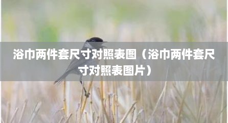 浴巾两件套尺寸对照表图（浴巾两件套尺寸对照表图片）