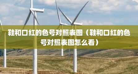 鞋和口红的色号对照表图（鞋和口红的色号对照表图怎么看）
