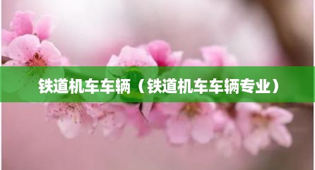 铁道机车车辆（铁道机车车辆专业）