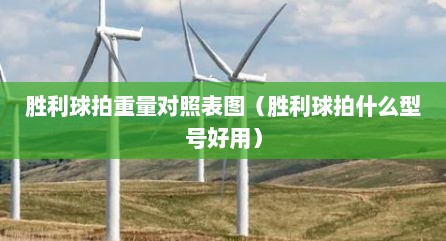 胜利球拍重量对照表图（胜利球拍什么型号好用）