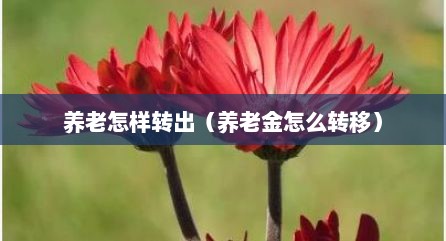 养老怎样转出（养老金怎么转移）