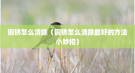 铜锈怎么清除（铜锈怎么清除最好的方法小妙招）