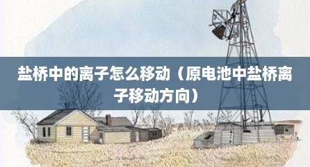 盐桥中的离子怎么移动（原电池中盐桥离子移动方向）