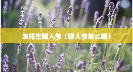 怎样生晒人参（晒人参怎么晒）
