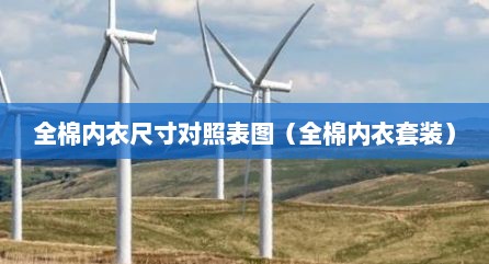 全棉内衣尺寸对照表图（全棉内衣套装）
