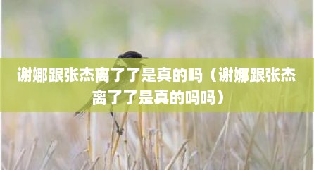 谢娜跟张杰离了了是真的吗（谢娜跟张杰离了了是真的吗吗）