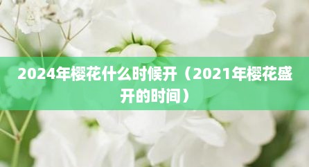 2024年樱花什么时候开（2021年樱花盛开的时间）