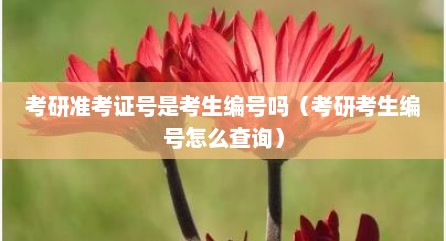 考研准考证号是考生编号吗（考研考生编号怎么查询）