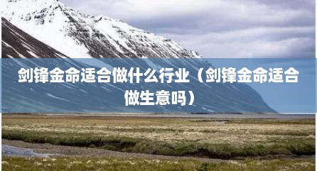剑锋金命适合做什么行业（剑锋金命适合做生意吗）
