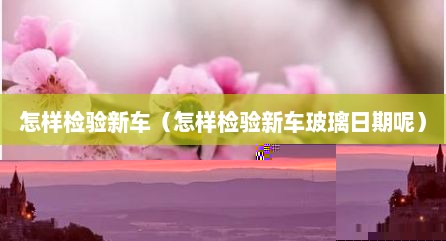 怎样检验新车（怎样检验新车玻璃日期呢）