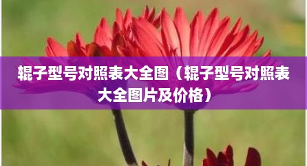 辊子型号对照表大全图（辊子型号对照表大全图片及价格）