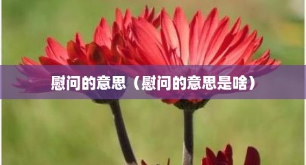 慰问的意思（慰问的意思是啥）