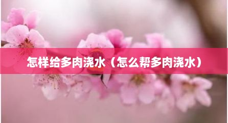 怎样给多肉浇水（怎么帮多肉浇水）