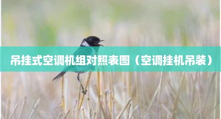 吊挂式空调机组对照表图（空调挂机吊装）