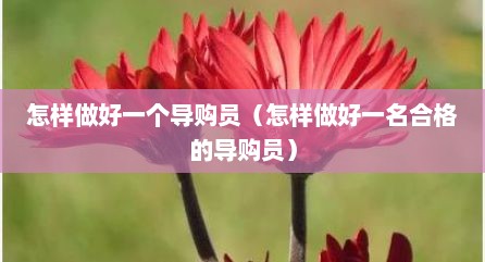 怎样做好一个导购员（怎样做好一名合格的导购员）