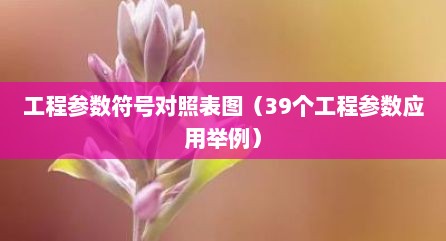 工程参数符号对照表图（39个工程参数应用举例）
