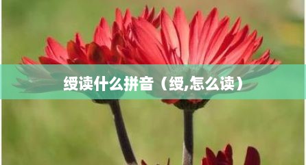 绶读什么拼音（绶,怎么读）