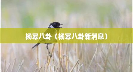 杨幂八卦（杨幂八卦新消息）
