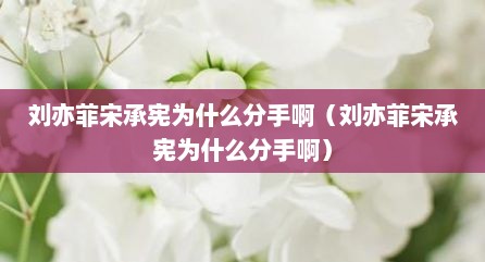 刘亦菲宋承宪为什么分手啊（刘亦菲宋承宪为什么分手啊）