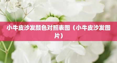 小牛皮沙发颜色对照表图（小牛皮沙发图片）