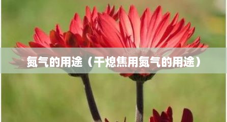 氮气的用途（干熄焦用氮气的用途）