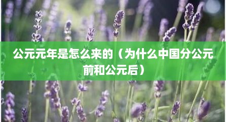 公元元年是怎么莱的（为什么中国分公元前和公元后）