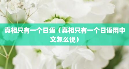 真相只有一个日语（真相只有一个日语用中文怎么说）