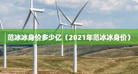 范冰冰身价多少亿（2021年范冰冰身价）