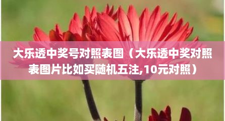 大乐透中奖号对照表图（大乐透中奖对照表图片比如买随机五注,10元对照）