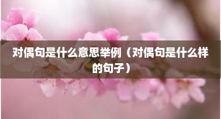 对偶句是什么意思举例（对偶句是什么样的句子）