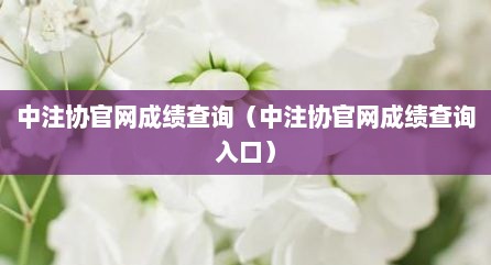 中注协官网成绩查询（中注协官网成绩查询入口）