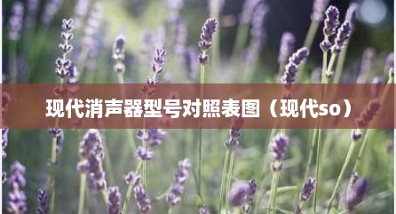 现代消声器型号对照表图（现代so）