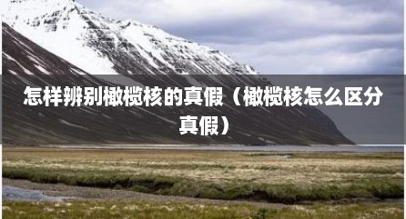 怎样辨别橄榄核的真假（橄榄核怎么区分真假）