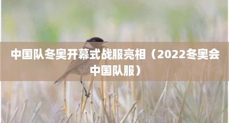 中国队冬奥开幕式战服亮相（2022冬奥会中国队服）