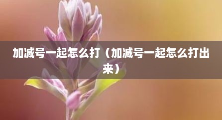 加减号一起怎么打（加减号一起怎么打出来）