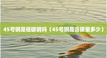 45号钢是低碳钢吗（45号钢是含碳量多少）