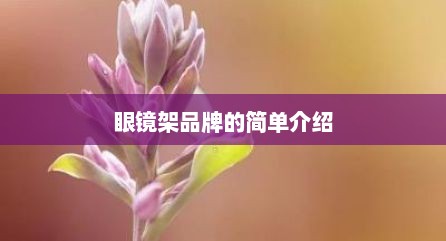 眼镜架品牌的简单介绍