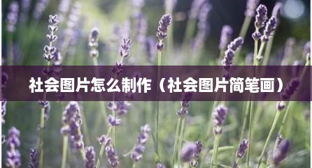 社会图片怎么制作（社会图片简笔画）