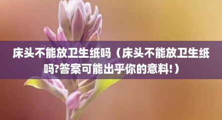 床头不能放卫生纸吗（床头不能放卫生纸吗?答案可能出乎你的意料!）