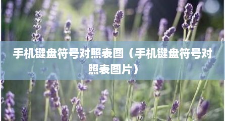 手机键盘符号对照表图（手机键盘符号对照表图片）