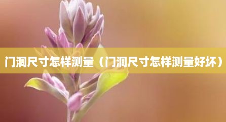 门洞尺寸怎样测量（门洞尺寸怎样测量好坏）
