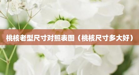 桃核老型尺寸对照表图（桃核尺寸多大好）